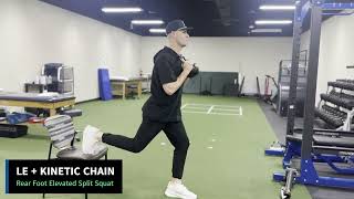 Rear Foot Elevated Split Squat [LE + KINETIC CHAIN]