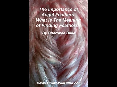 The Importance of Angel Feathers.The Meaning of Finding Feathers by Cherokee Billie