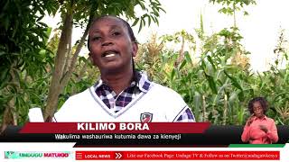 Kilimo bora: Wakulima washauriwa kutumia dawa za kienyeji