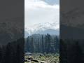 Difficult Path to Baisaran Valley Pahalgam ( Mini Switzerland ) #kashmir #mountains #snow #terrian