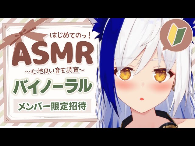 ♡りぃまむ♡さん専用 AZONE INTERNATIONAL::えっくす☆きゅーと