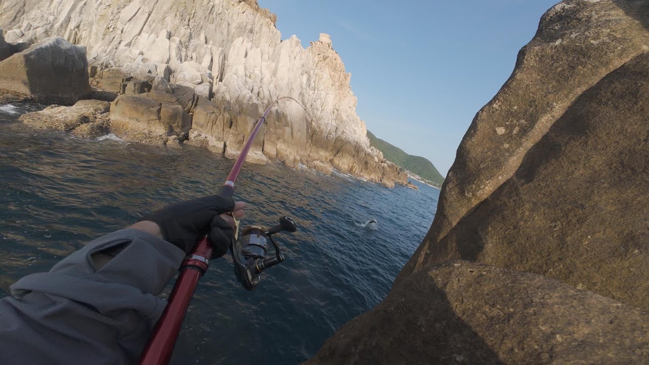 2024 磯釣新手高知縣遠征 day5  #香港磯釣 #釣魚 #磯釣り