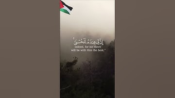 لا يسأم الإنسان من دعاء الخير ايات قرانية ماهر المعيقلي سورة فصلت قران