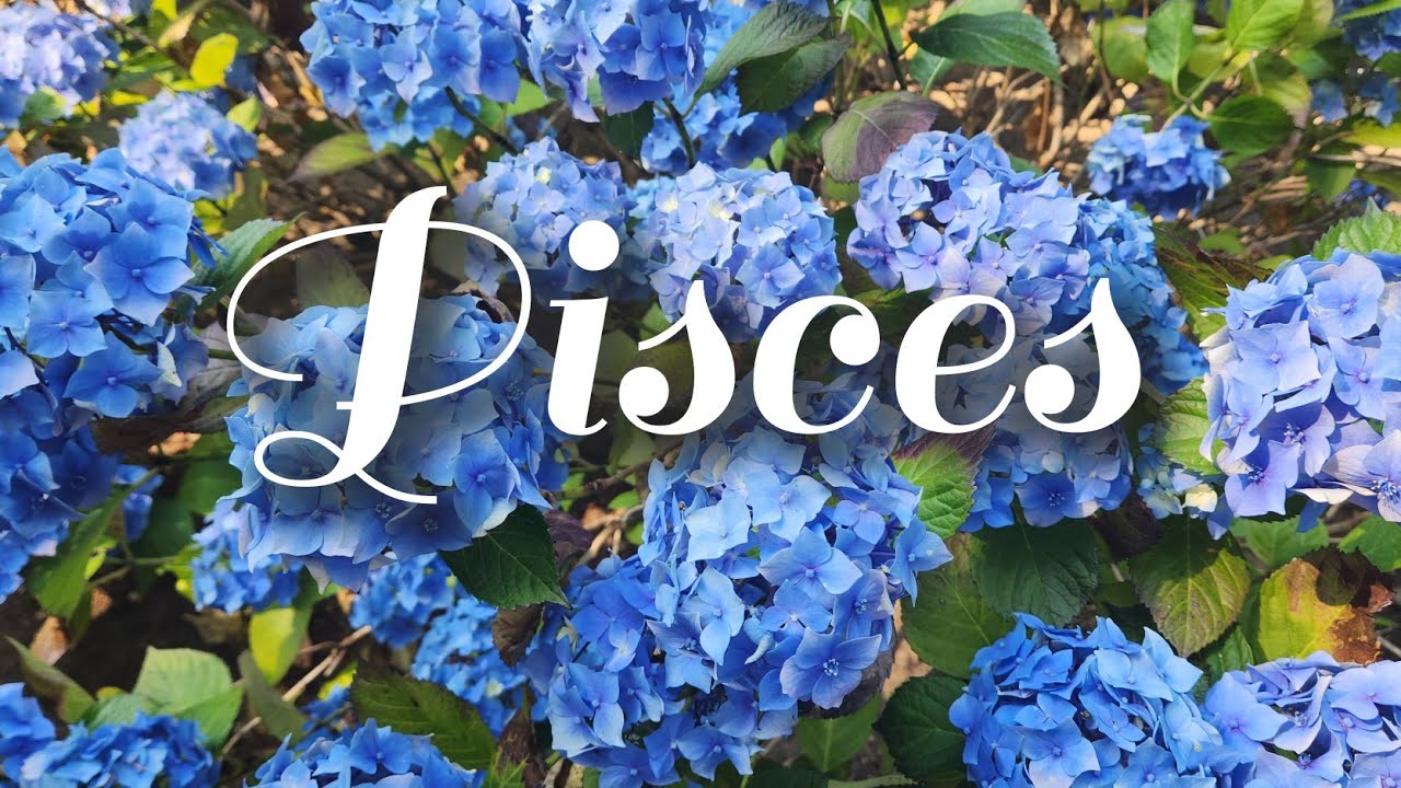 📨 RANDOM MESSAGES 4 PISCES 📨 Week of 3.2- 3.7✨️ CURSING THEIR FINANCES 4 MESSING WITH A CHOSEN ONE🤨