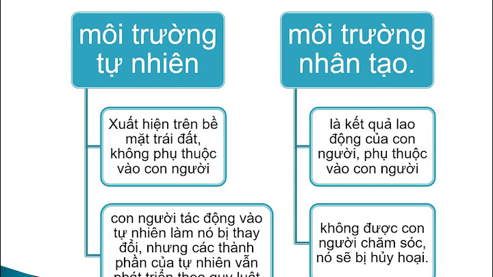 Chức năng môi trường là gì địa lý 10 năm 2024