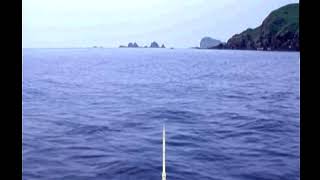 Reel Fishing Relaxation | RF2 Red Seabream