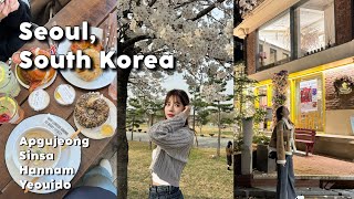 Seoul : เที่ยวเกาหลี 4 ย่าน 14 ที่เที่ยว กิน ช้อปปิ้ง ที่ห้ามพลาด, หน้าซากุระเกาหลีบานพอดี