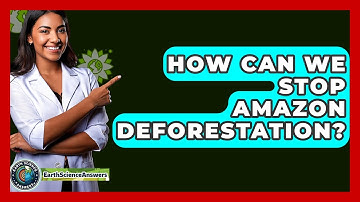 How Can We Stop Amazon Deforestation? - Earth Science Answers