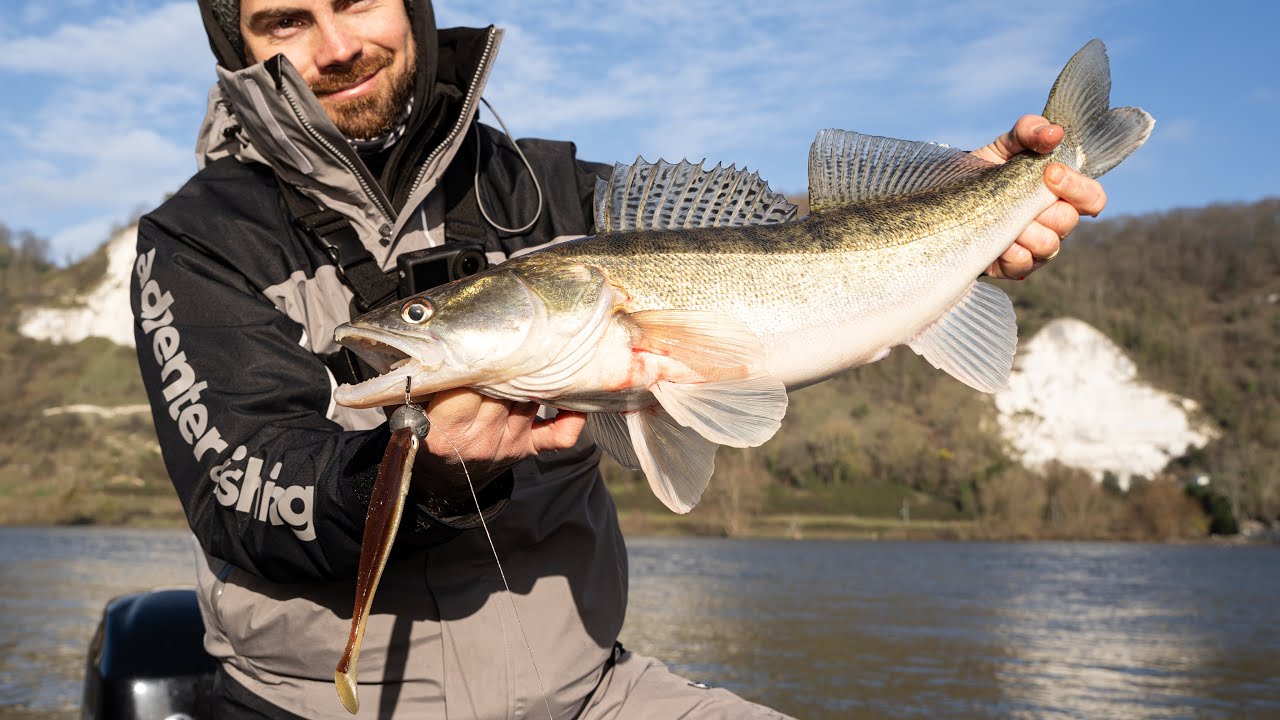 On découvre la Seine et ses sandres (et pas que…). Une première réussie !