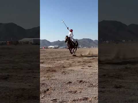 شوط سيف ارضي  اكسبلور حصان سعد الخيال الصغير عواد خيل الخيل