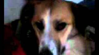 20110214_013300.avi