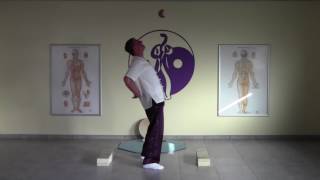 Iron Shirt Chi Kung I