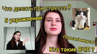 Видео Высокочувствительные люди | Что делать в острой стрессовой ситуации ? (автор: Матрёшка)
