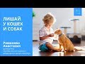 Лишай у кошек (лишай у собак). Симптомы и лечение.