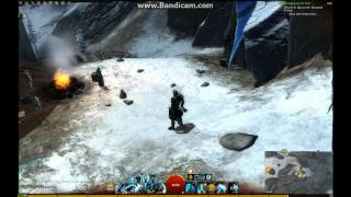 Graphics glitches in GW2