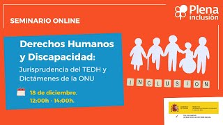Derechos Humanos Y Discapacidad Jurisprudencia Del Tedh Y Dictámenes De La Onu Plena Inclusión