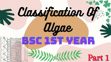 Classification of Algae ( Phycology )  Part 1 BSc 1st Year |