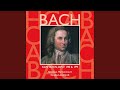 Miniature de la vidéo de la chanson Cantata, Bwv 199 "Mein Herze Schwimmt Im Blut," Vii. Recitativo (Soprano). Ich Lege Mich In Diese Wunden