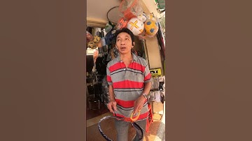 Cầm 100zz Fake Đi Đan Cước - Hậu Cầu Lông