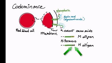 Three shades of genetic dominance