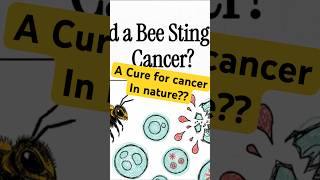Could a bee sting fight cancer?! #science #stem #cancer #research #bee #honeybee #beehealth