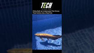 China Built an Underwater Fish Drone That Swims Like a Real Fish #ChinaTech #ai#TechNews#FutureTech