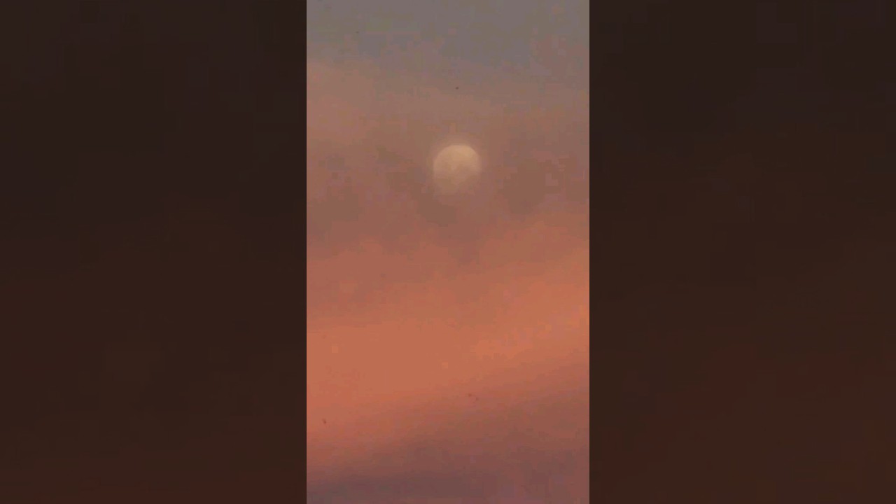 Wow look at that pink sunset! 🌇