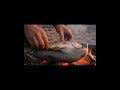 outdoer fish cooking #gamtng#cooking #fish #food