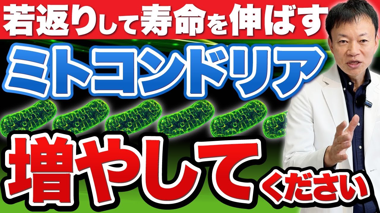 【若返り＆健康寿命をのばす】体内のミトコンドリアを増やし、血管を若返らせる方法（脂肪燃焼・脳梗塞・狭心症）