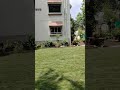 Tiny Lawn Renovation My Yard
