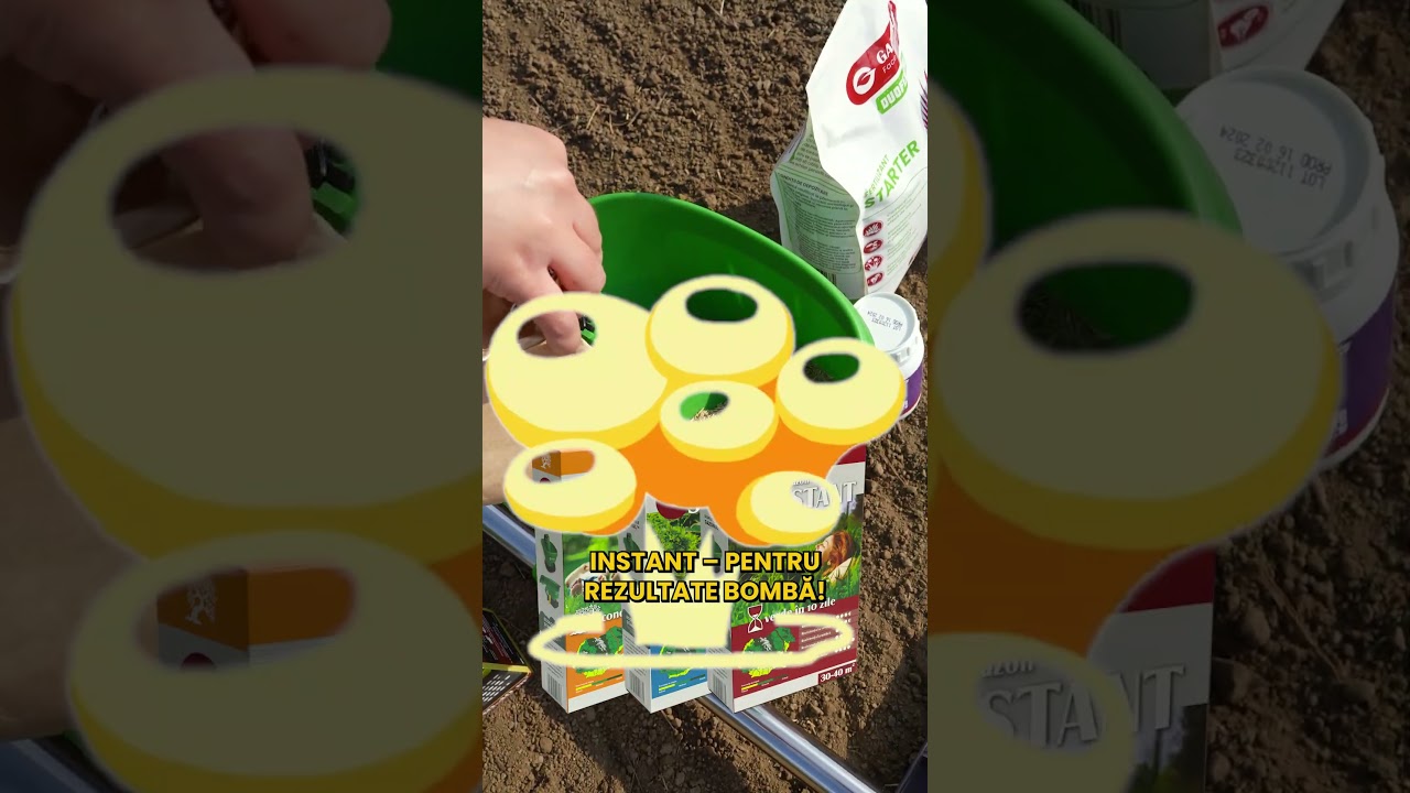 🌱 Visezi la un gazon des, verde și uniform?