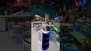 PandaBot is working in the restaurant.#robot #deliveryrobot