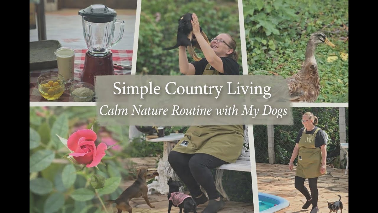 "Vida simples no campo | Rotina calma na natureza com meus cães"