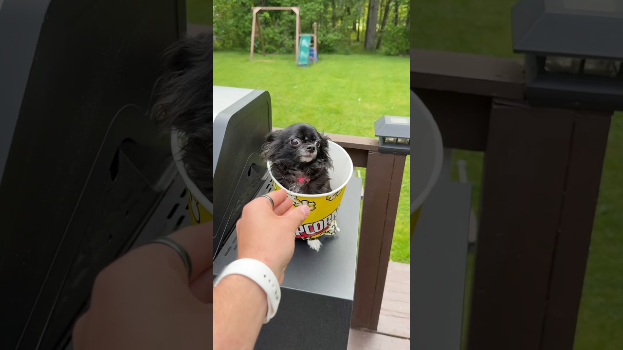 POPCORN FLYING PUDDIN 🍿😱