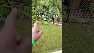 before and after a landscaping ideas tips and tricks for homeowners