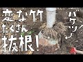 第98話 抜根！ゴミと一体化した竹をひたすら人力で。どこまで頑張れるのか？【CAT HOUSE DIY】
