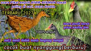 Download lagu Suara Burung Ayam-ayaman Sawah| Terbaru 2022|1000%pikat Ampuh mp3