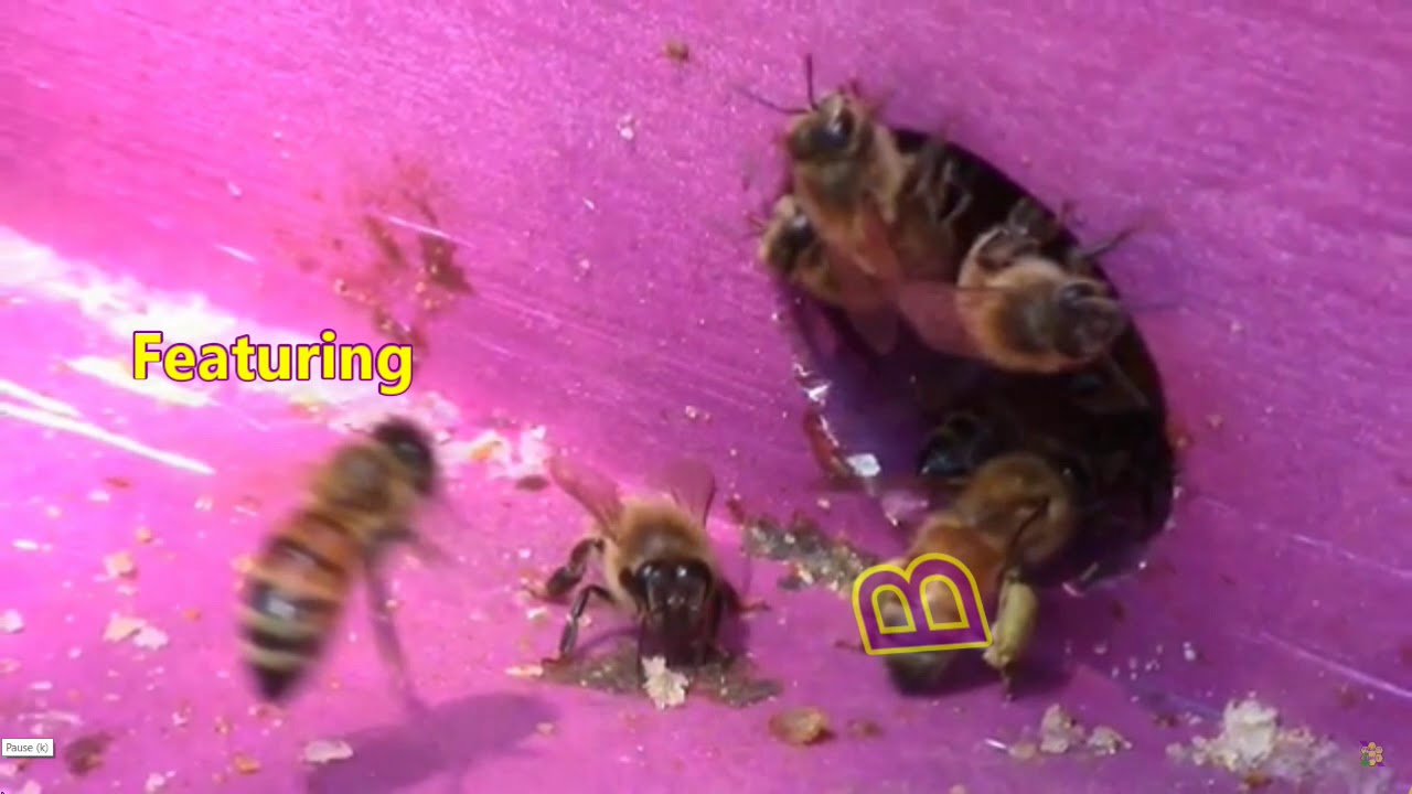 2019 PCA Channel Trailer