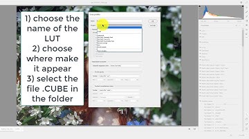 how to install LUTs on Camera Raw