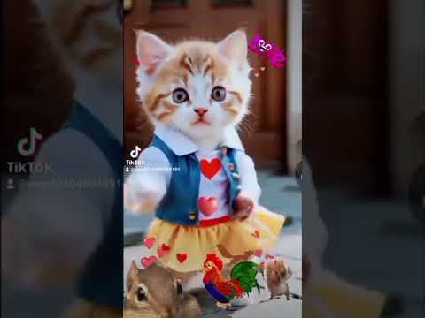قطوستي سالمة