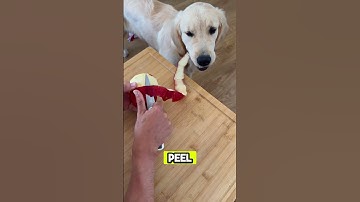 Funny Dog Devours Apple Peel, Hilarious! #shorts #viral