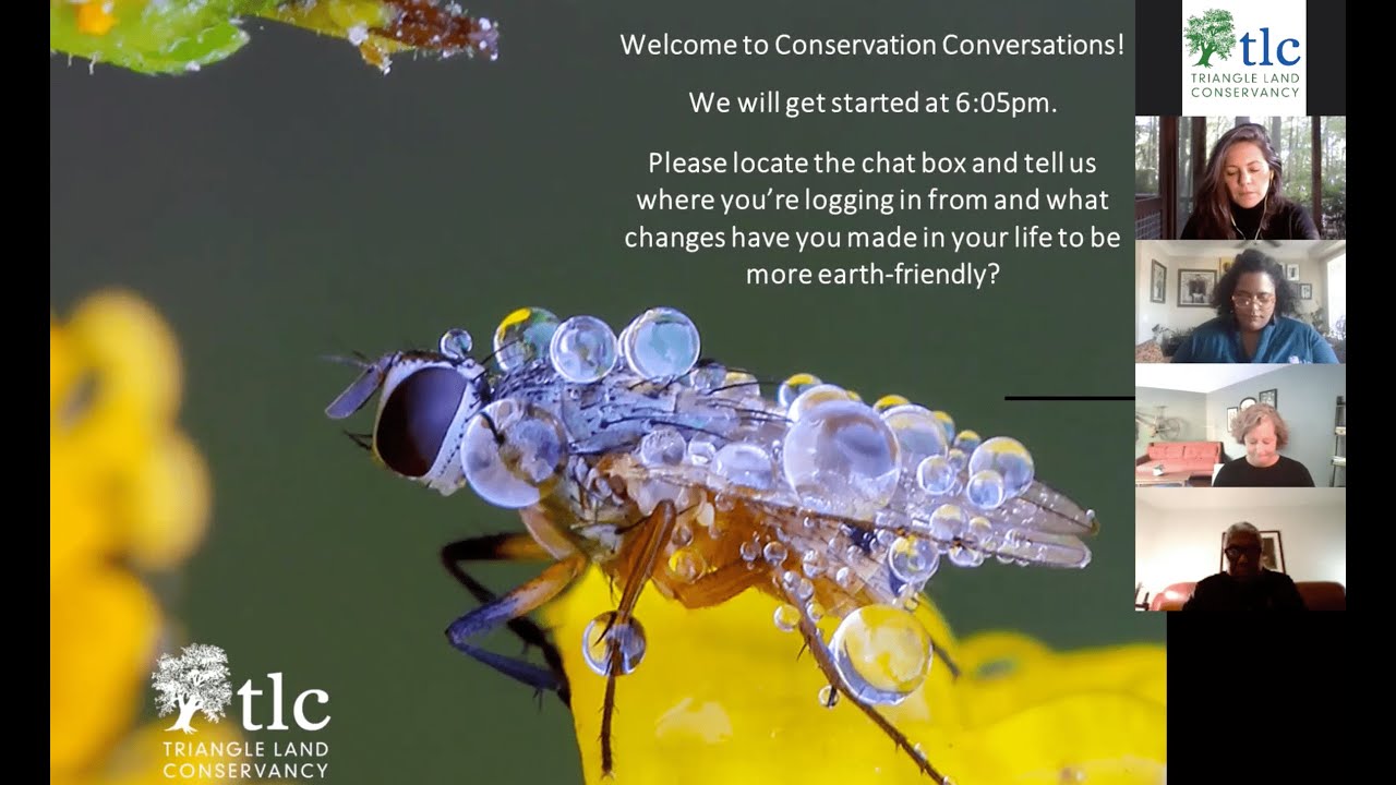 Conservation Conversations: Nature Needs TLC