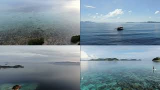 Why the Land Meets the Sea