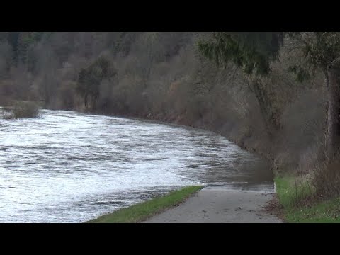 Video: Dunărea a inundat?