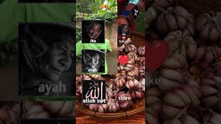 @omped_visual #CinematicVisual #VisualCinematic #ShortsViral #YouTubeShorts #VisualStory