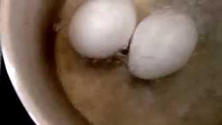 百均シリーズ！！お鍋　　超簡単！とろ〜り半熟味玉を作る！