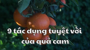 9 tác dụng tuyệt vời của quả cam
