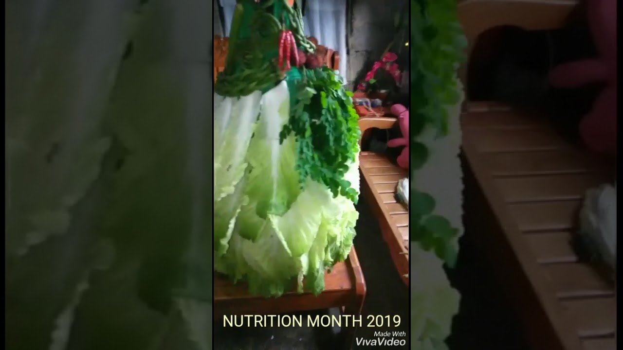NUTRITION MONTH 2019 COSTUME IDEAS