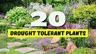 🌞 20 BEST Drought Tolerant Plants for YOUR Garden! 😱 NO WATER? NO PROBLEM! 🌵