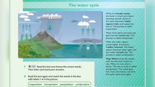 English plus 6. Unit 6. Ex1 p77